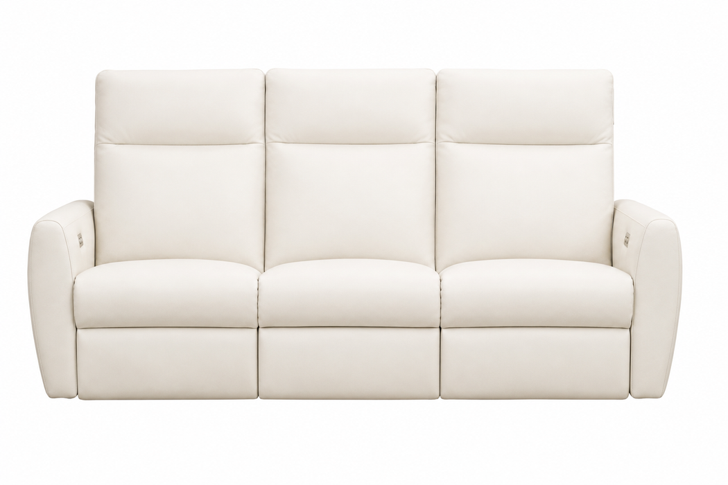 Levy Leather Reclining Sofa