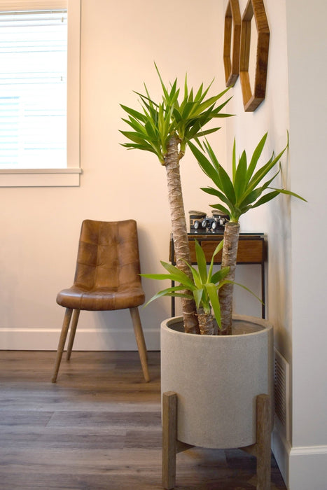 Large Round Standing Planter - Natural